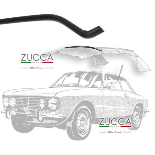 Archetto Cielo per Alfa Romeo GT BERTONE -